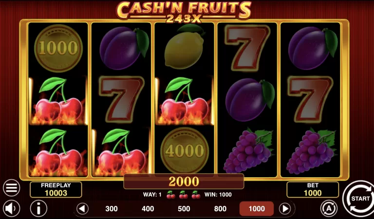 Cash'n Fruits 243 X slot review